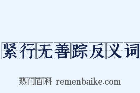 紧行无善踪反义词是什么意思的图片